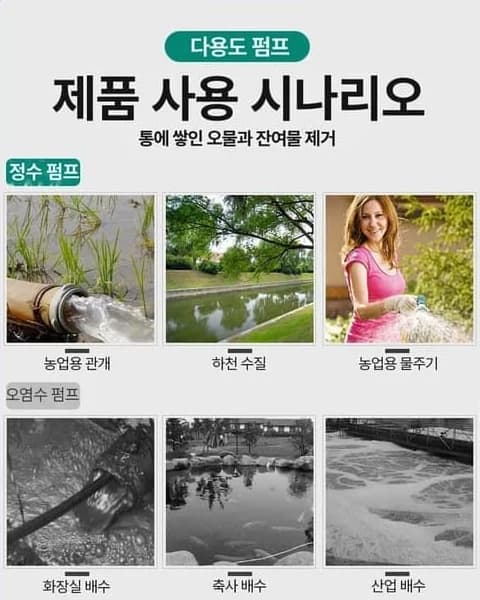The same image returned in Korean